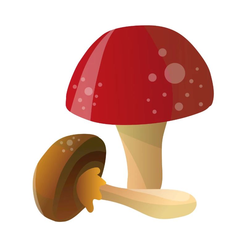 Champignons