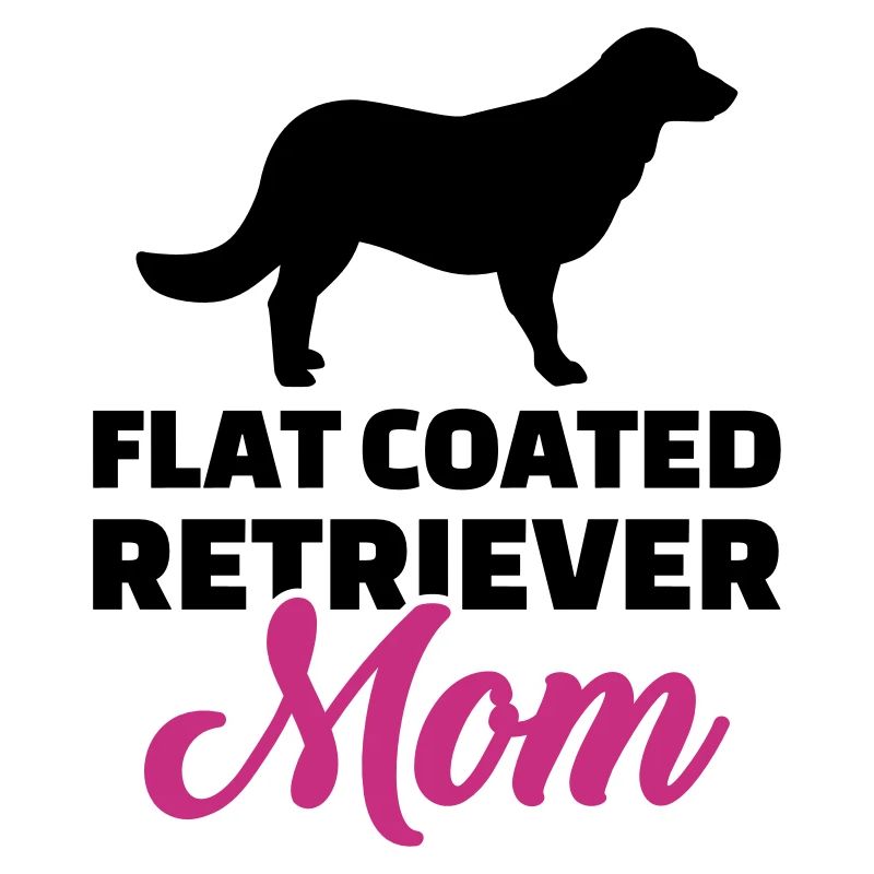 Flat Coated Retriever