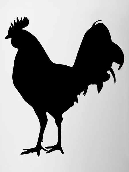 rooster