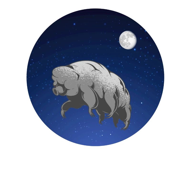 Tardigrade water bear ecdysozoa space