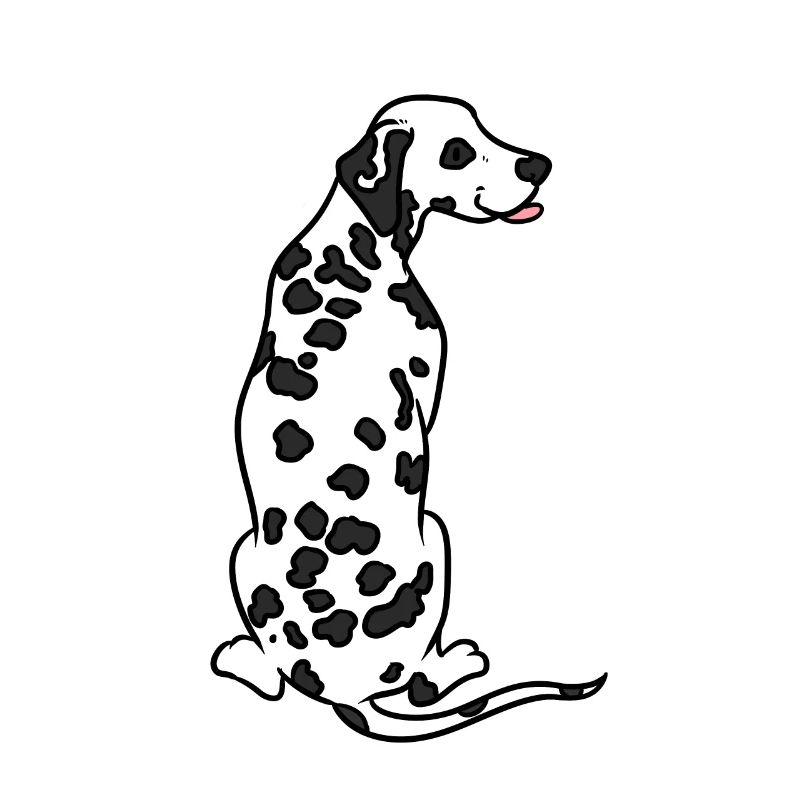 dalmatien