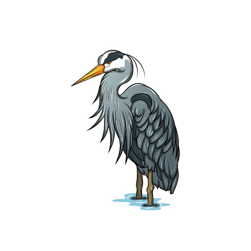 Great Blue Heron Heron Bird Bird Watching Gift