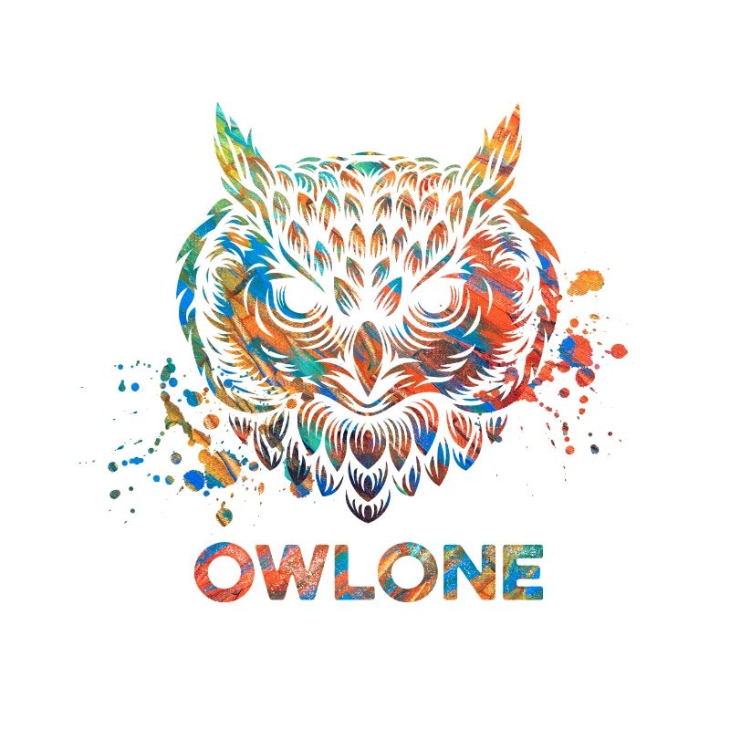 Perfektes, buntes, cooles Eulenshirt mit Spruch