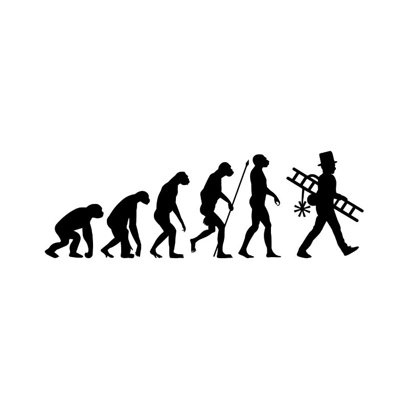 Evolution chimney sweep