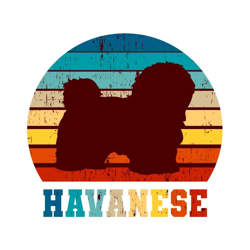 Havanese