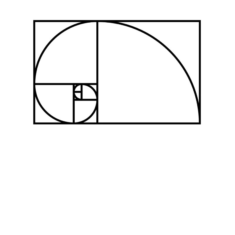 Conception d'escargot de Fibonacci