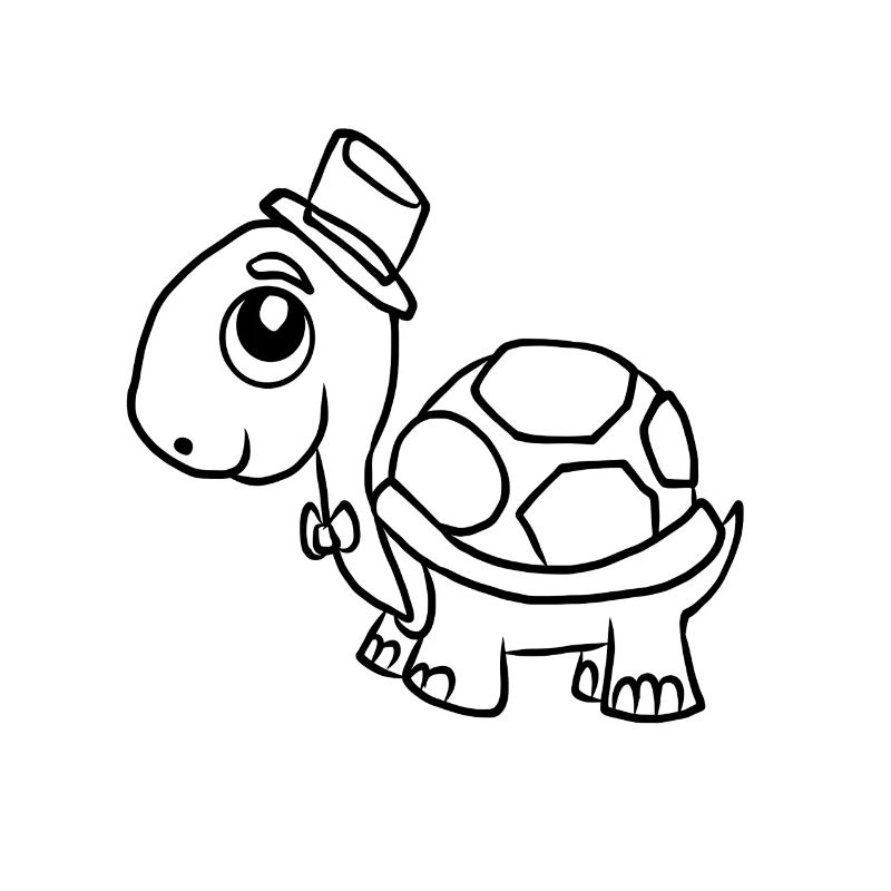 turtle shell armor safari animal cute