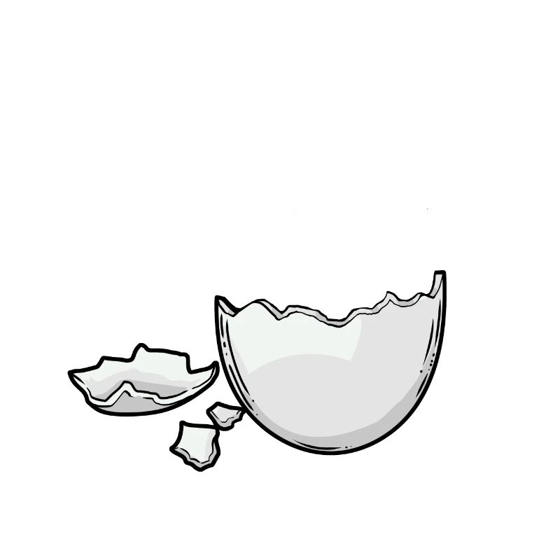 Eggshell Egg Eggs Hatch Baby Birth Pregnant