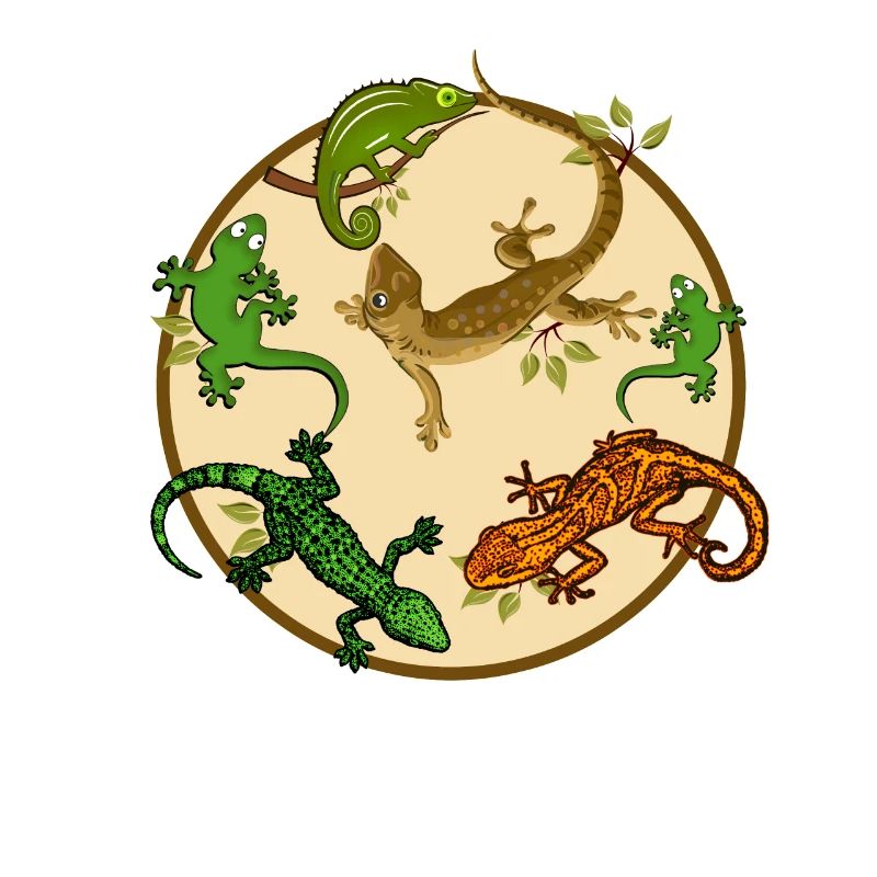 Gecko Eidechse