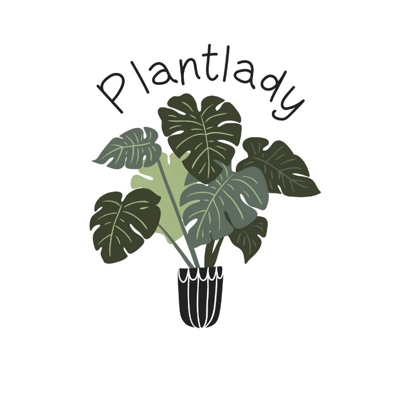 Plantuleuse plante succulente