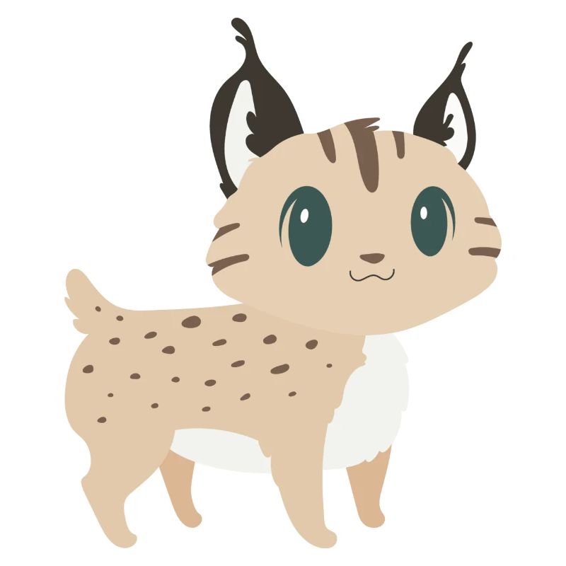 Lynx doux