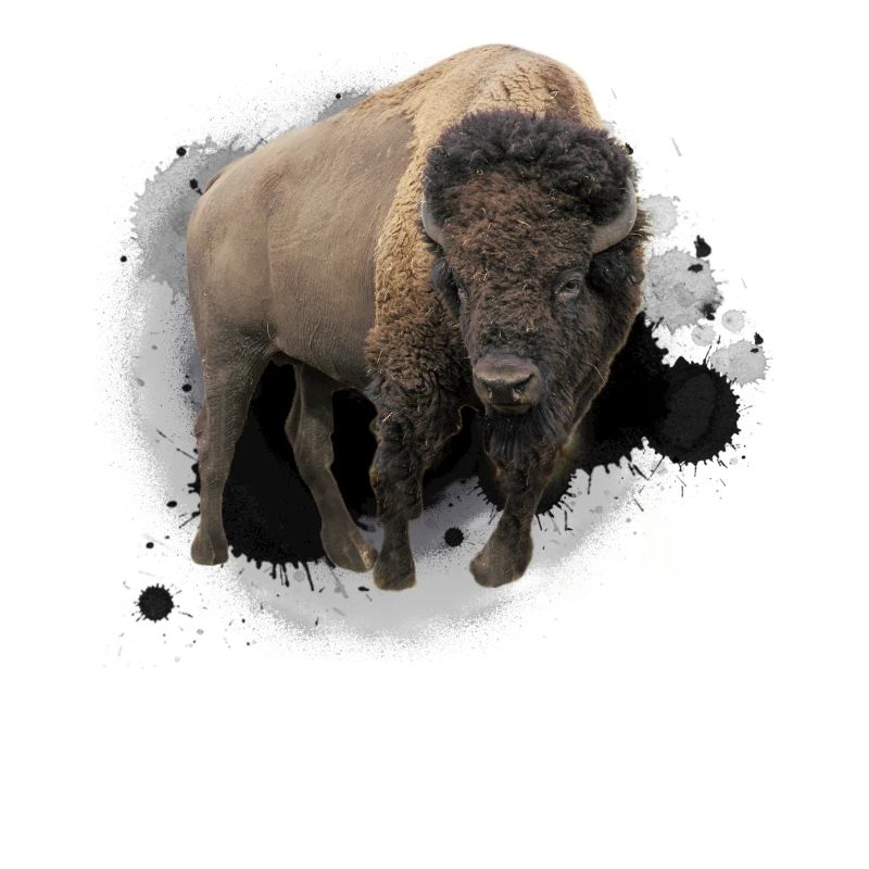 Bison Büffel Rind Design Illustration Geschenk