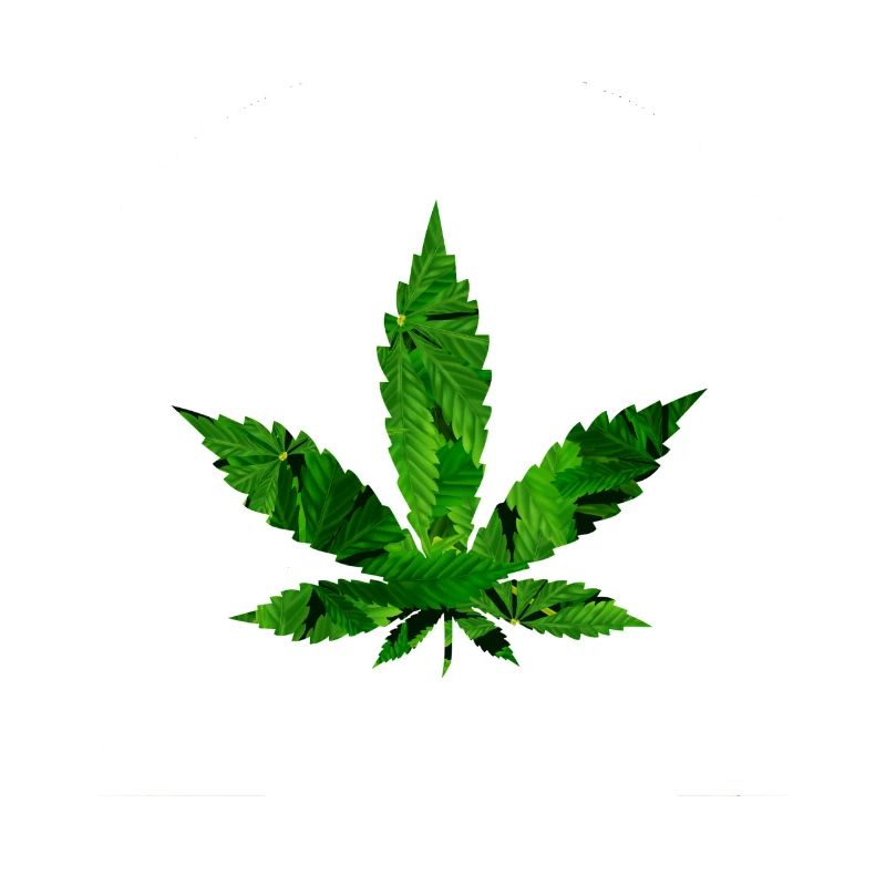 Cannabis weed leaf