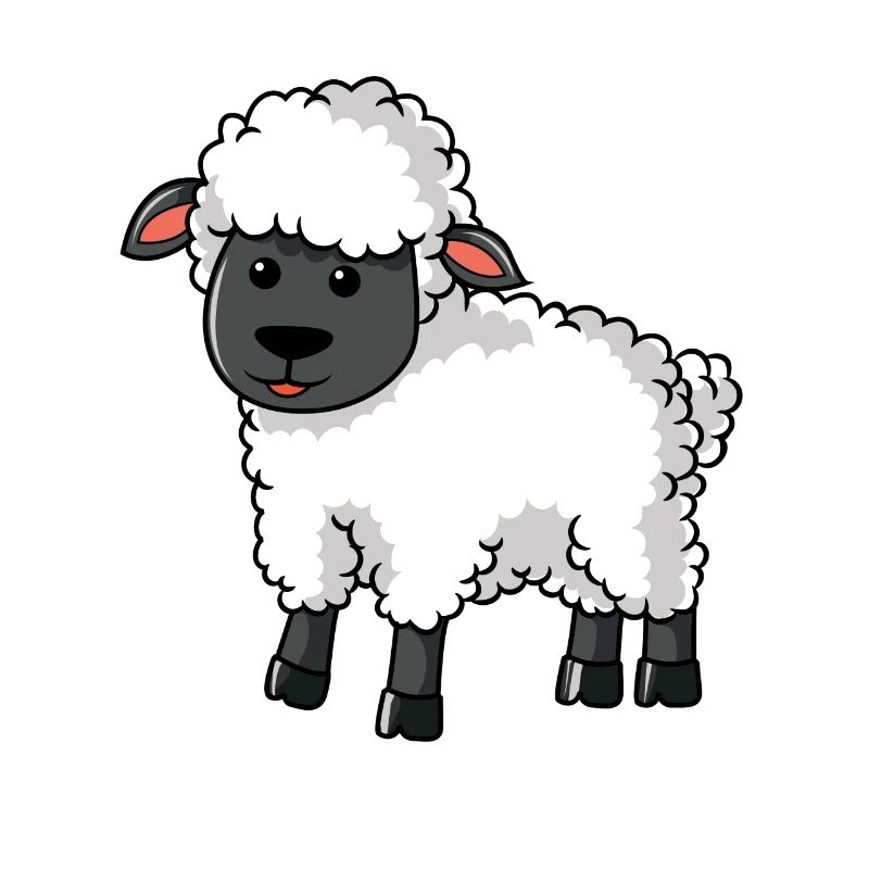 Schaf Schäffchen Scharfshirte Schafsbauer