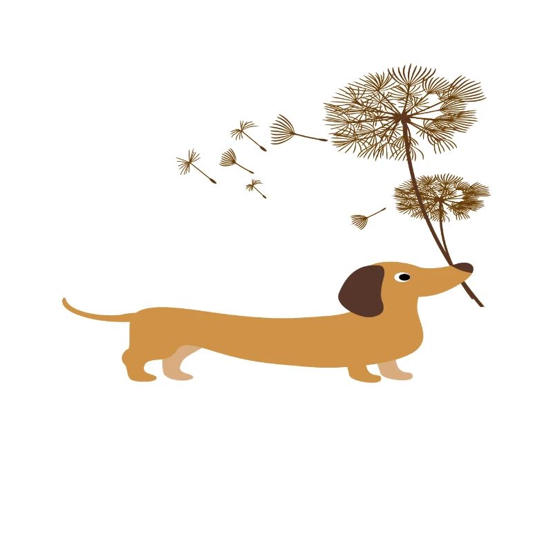 Dackel mit Pusteblume - Dackel shirt geschenkidee