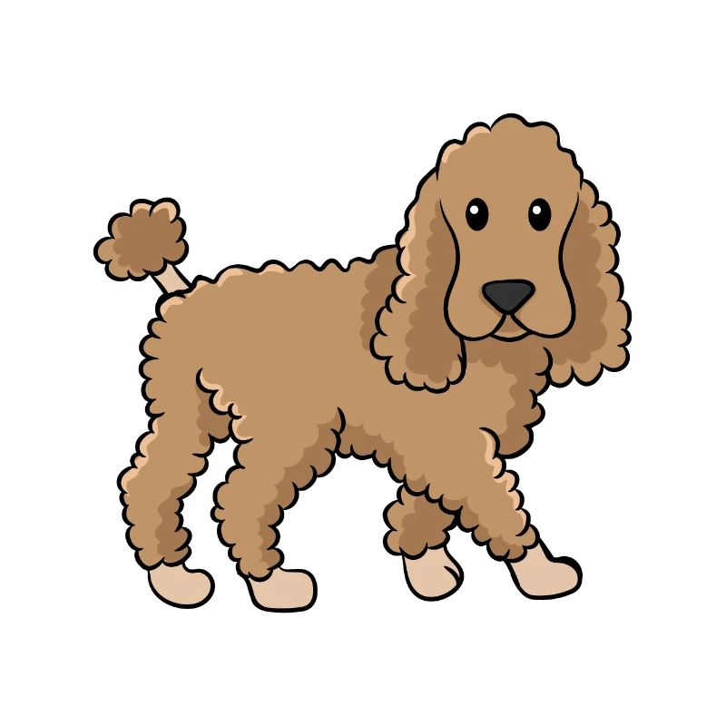 poodle