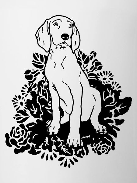 Weimaraner pup flower - www.dog-power.nl ©