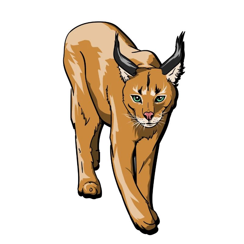 Mittelgroße Wildkatze Karakal & Luchs Geschenk