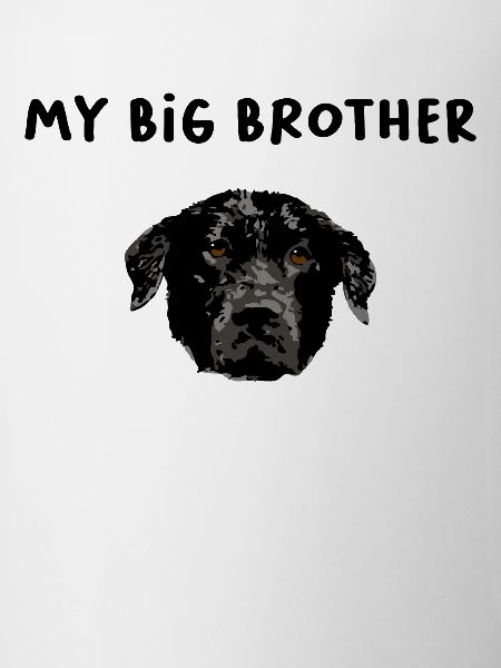 My Big Brother dog
