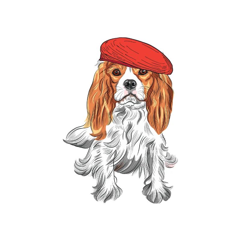 Cavalier King Hatted