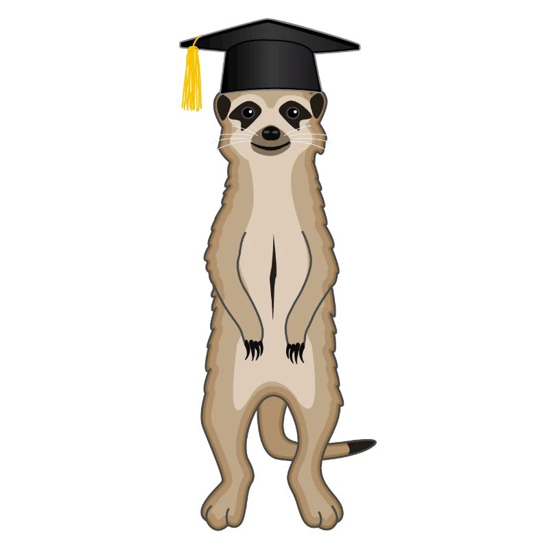 Baccalauréat Master Études De Suricate