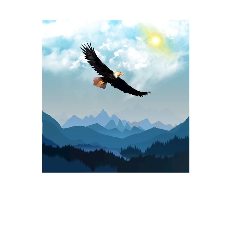 Eagle fly over mountains eagle flies over mountains