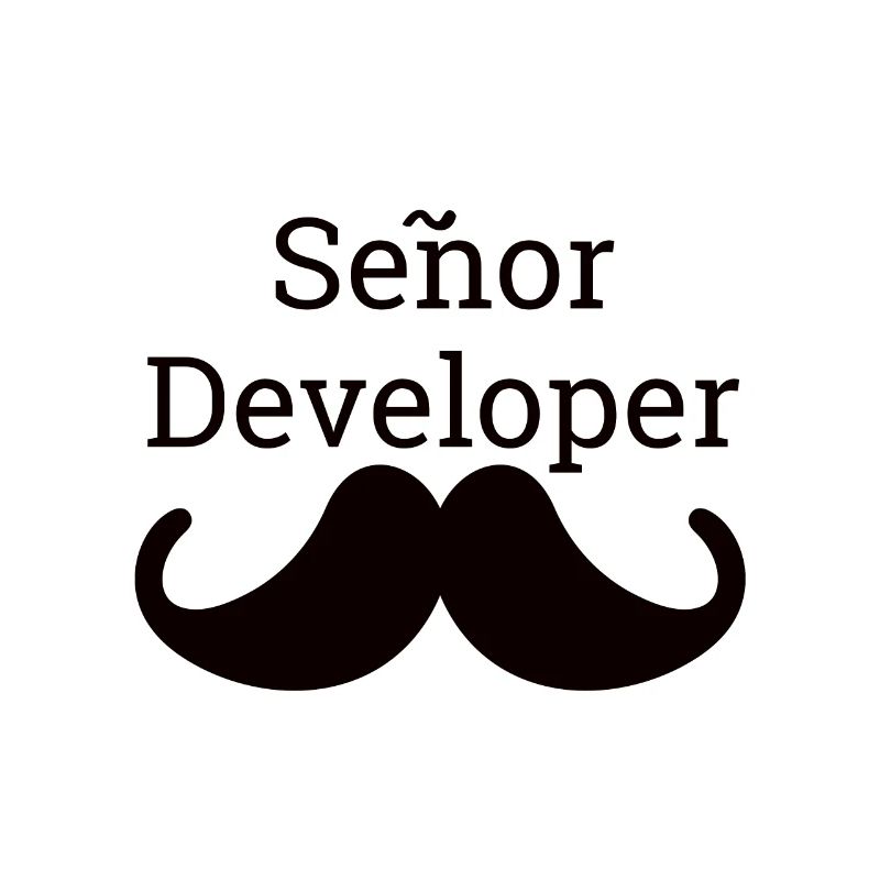 "Senor Developer, Senior Developer" |Programmierer
