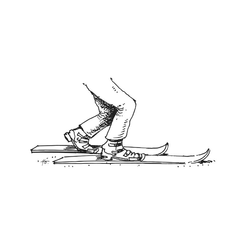 Télémark Position Traditionnelle Cartoon