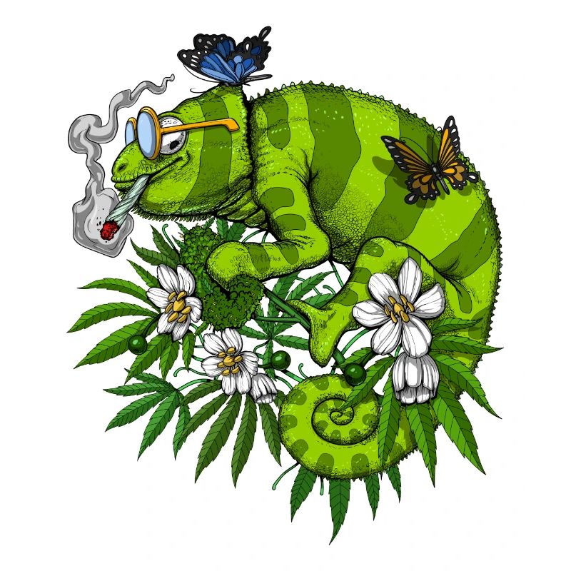 Herbe à fumer caméléon