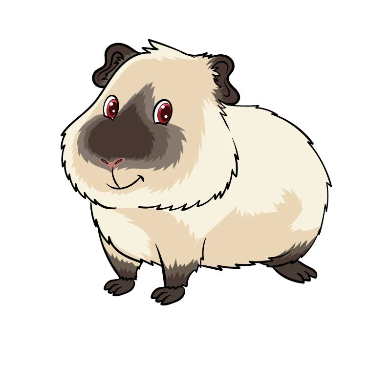 Mignon propriétaire de cochon d'Inde de l'Himalaya et