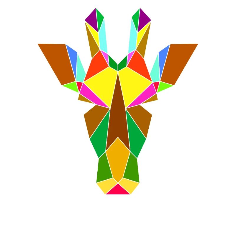Giraffe geometry