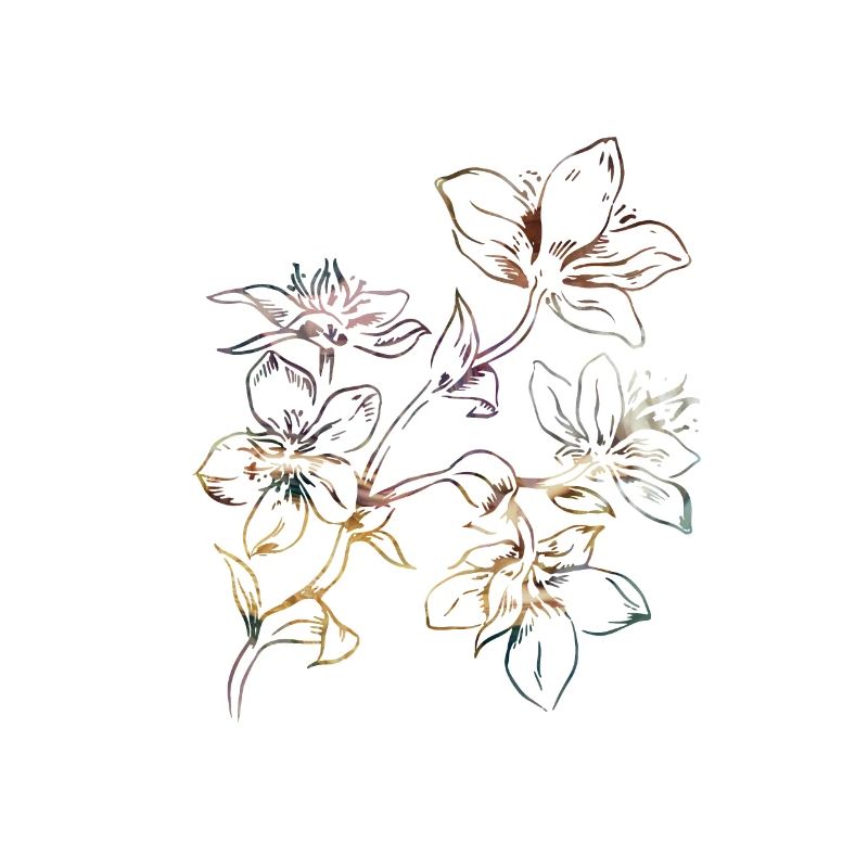 belles fleurs