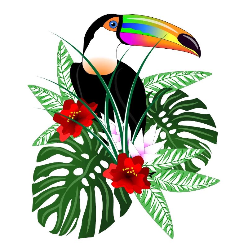 Toucan oiseau