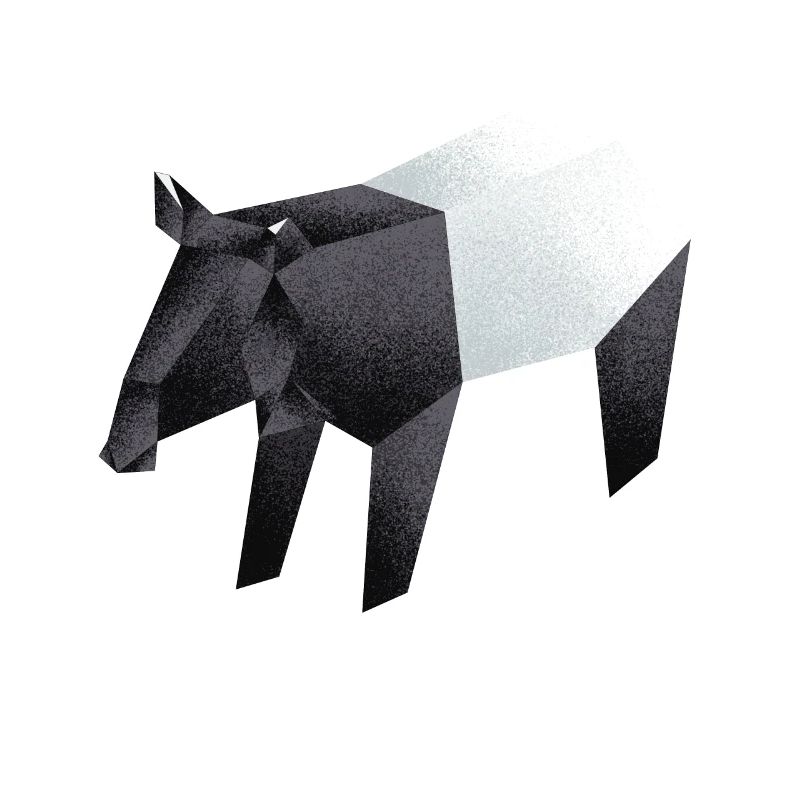 Tapir