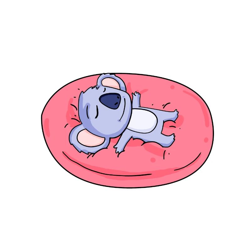 Koala bear