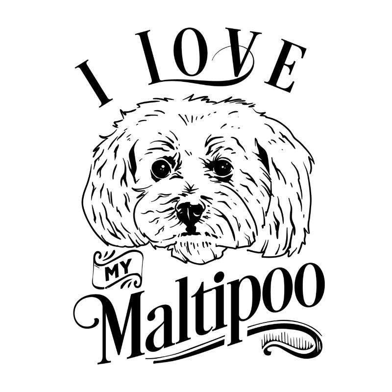 J'aime mon Maltipoo