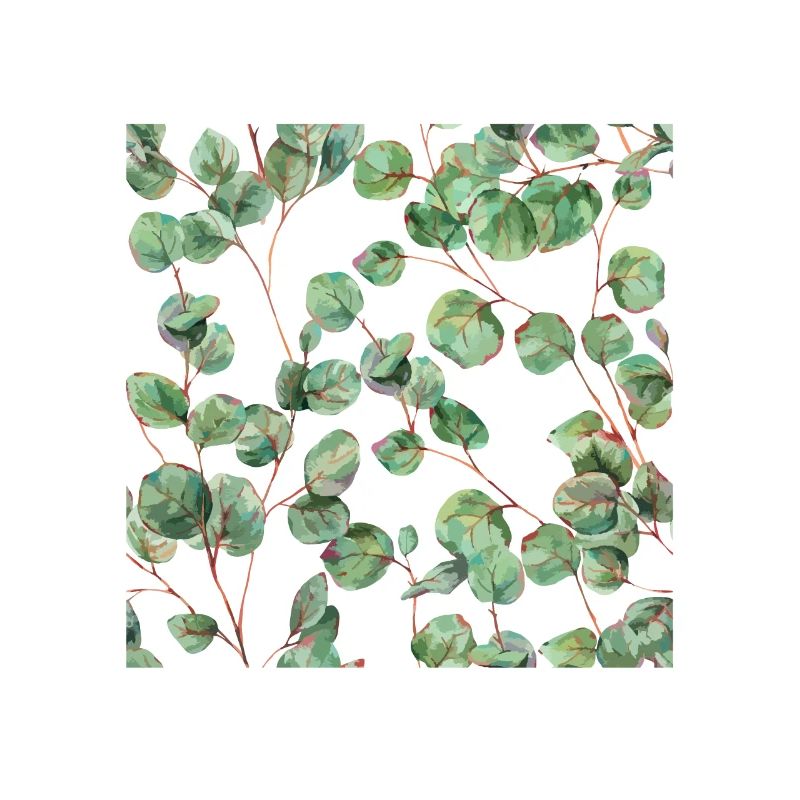 Feuilles d'eucalyptus vert
