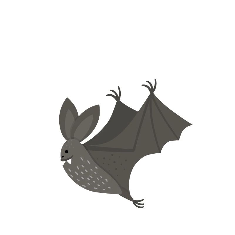 Pyjama pyjama de nuit Bedman Bat