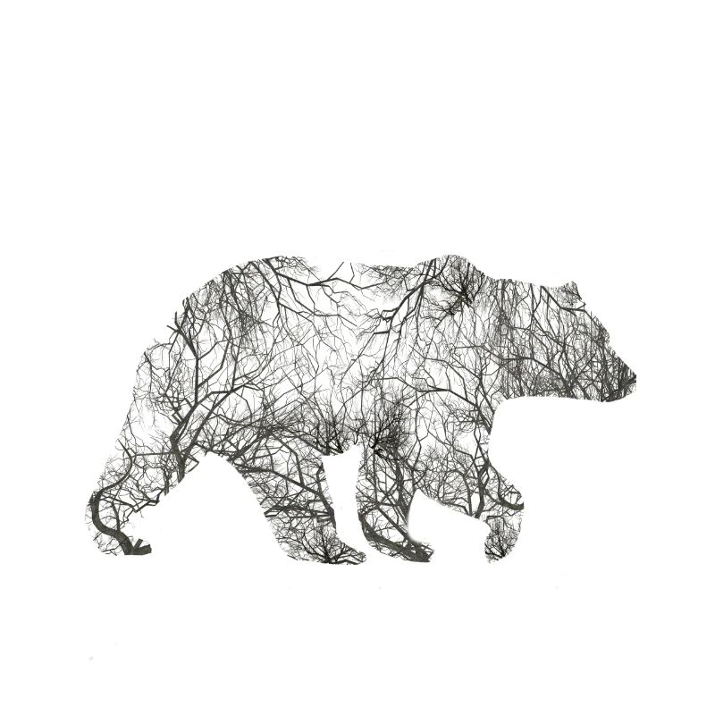 Bear from trees!