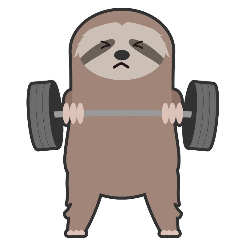 Musculation