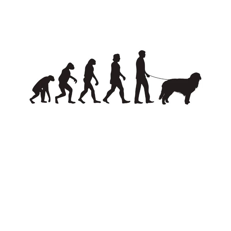 Hovawart Evolution chien propriétaire de chien cadeau