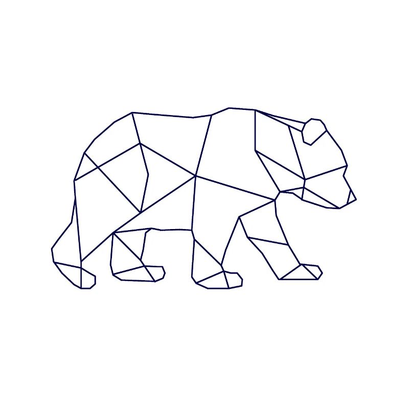 Bear polar bear