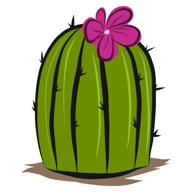 Cactus, illustration de cactus