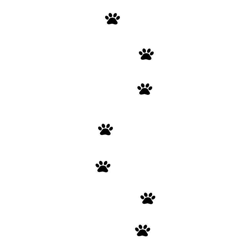 Paws