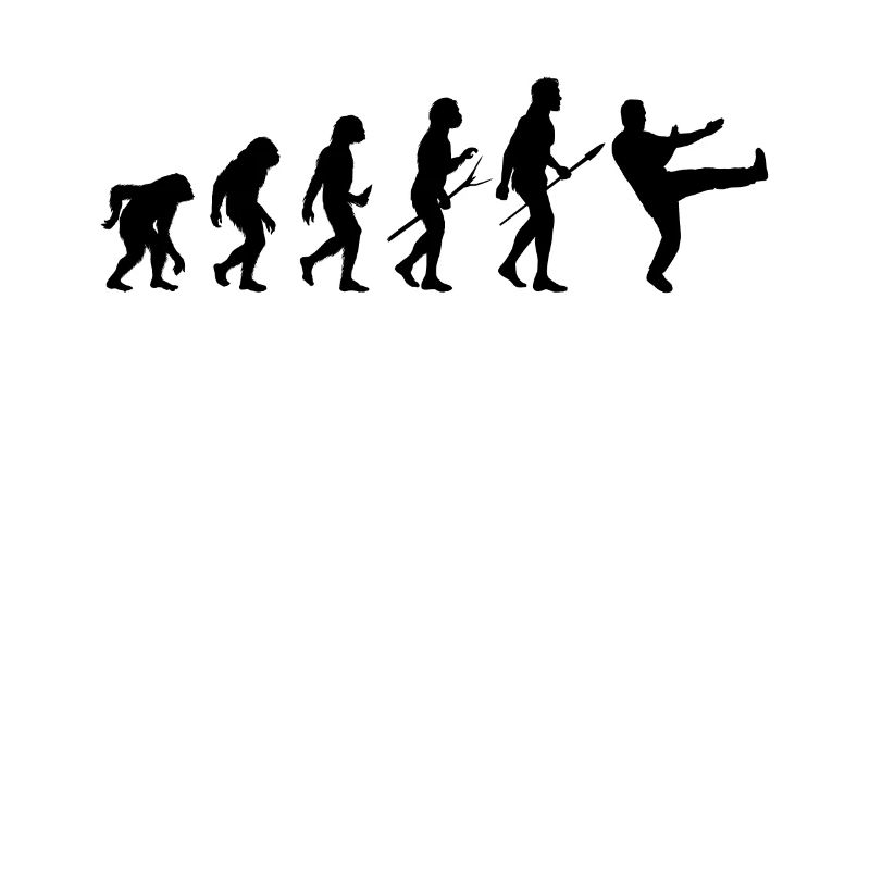 Wing Chun Kung-Fu Ip Man Style Martial Arts Evolution