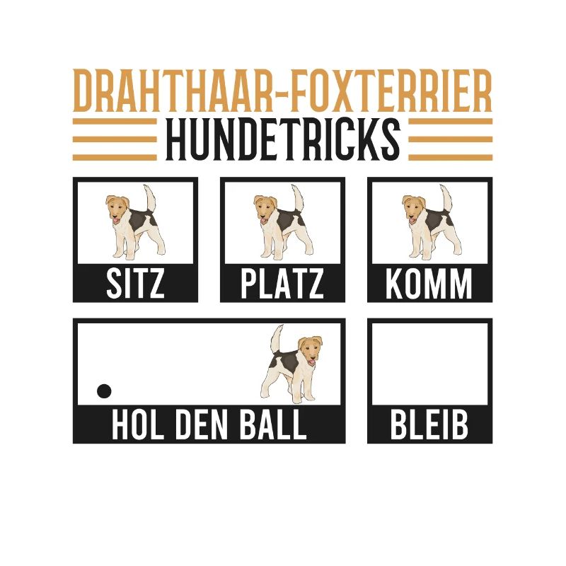 Foxterrier Hundetricks Drahthaar-Foxterrier