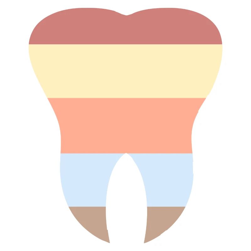 The tooth