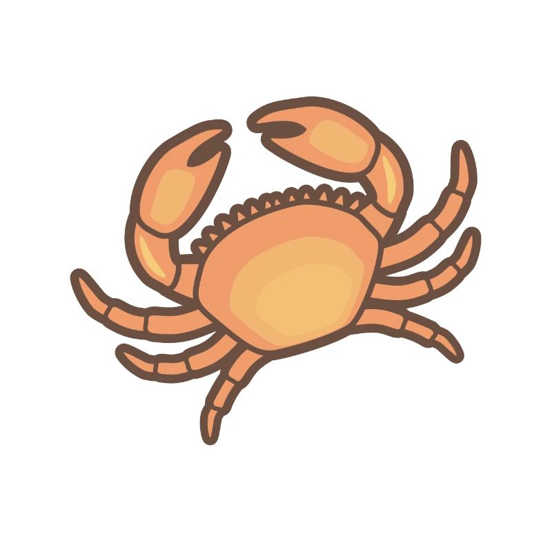 Crabe Holy Crab