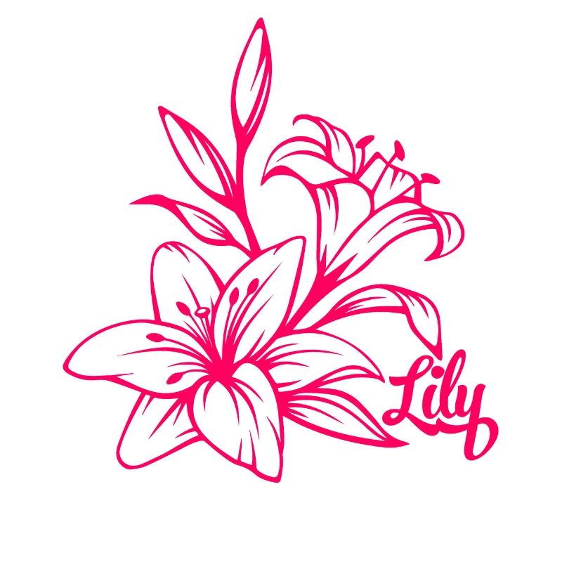 Lys fleurs plante