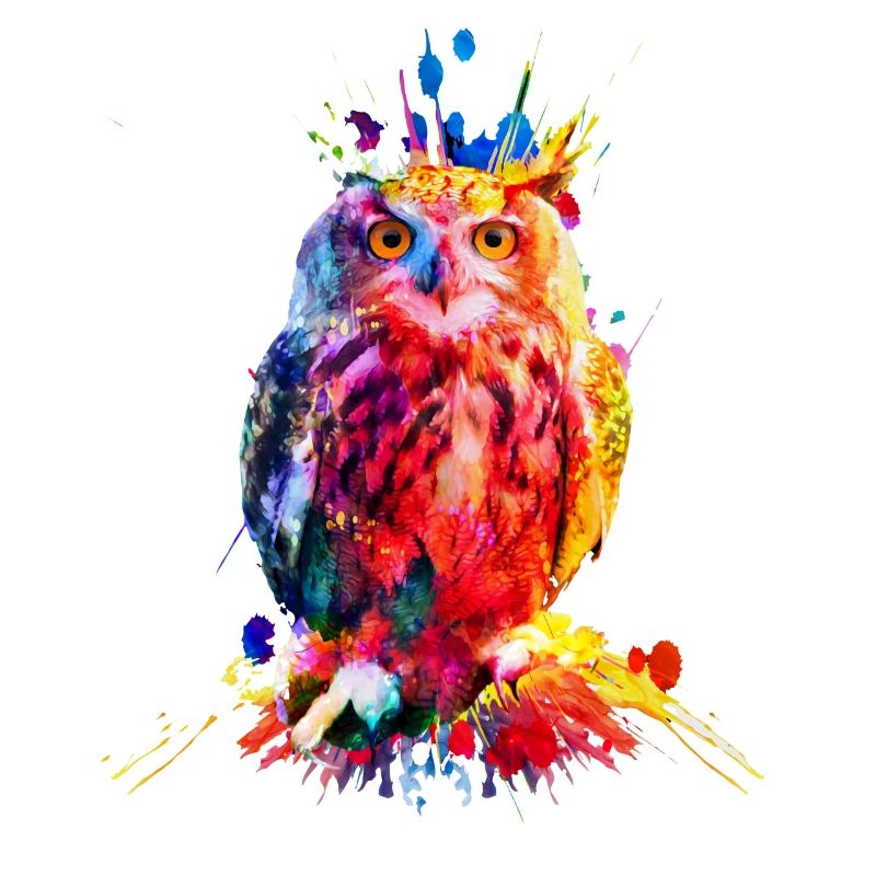 Bunte Eule, Aquarell